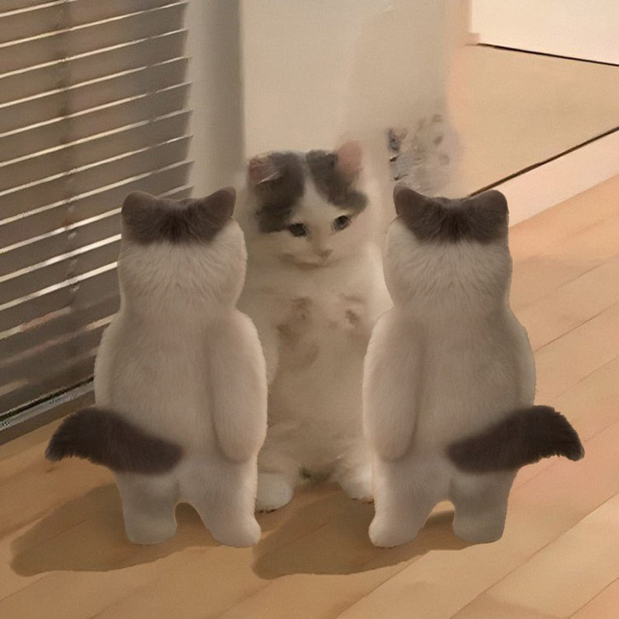 did you know that theres a $michi group chat on twitter to gmichi and chill / hit raids?

dm myself, <a href="/slader_sol/">slader.5mbK 🌎😼</a> or @queenonchain to get added if youre not in already!

wagmichi