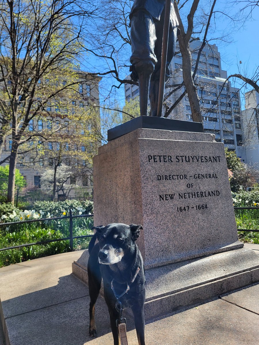 Hudson is a Dog tweet media