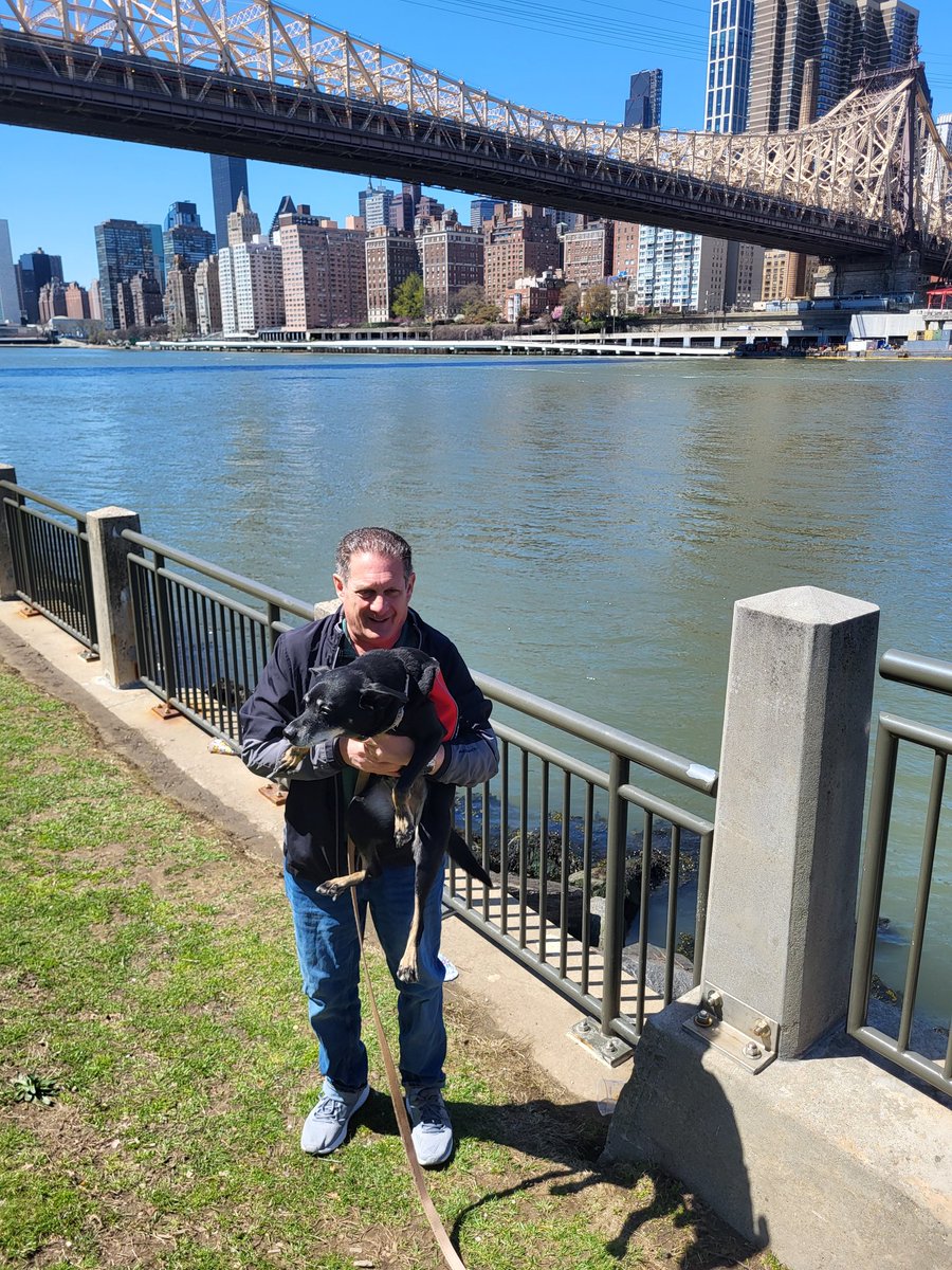 Hudson is a Dog tweet media