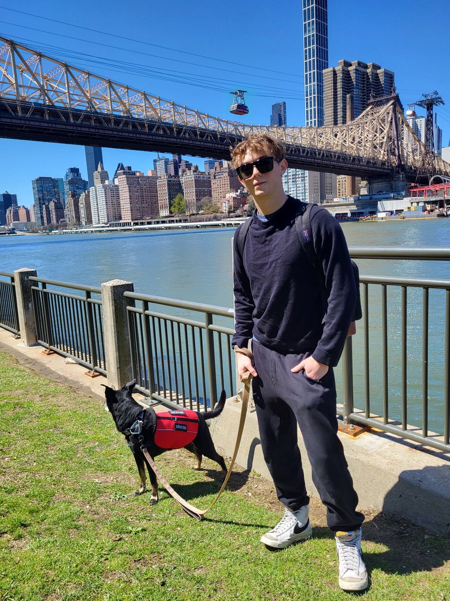 Hudson is a Dog tweet media