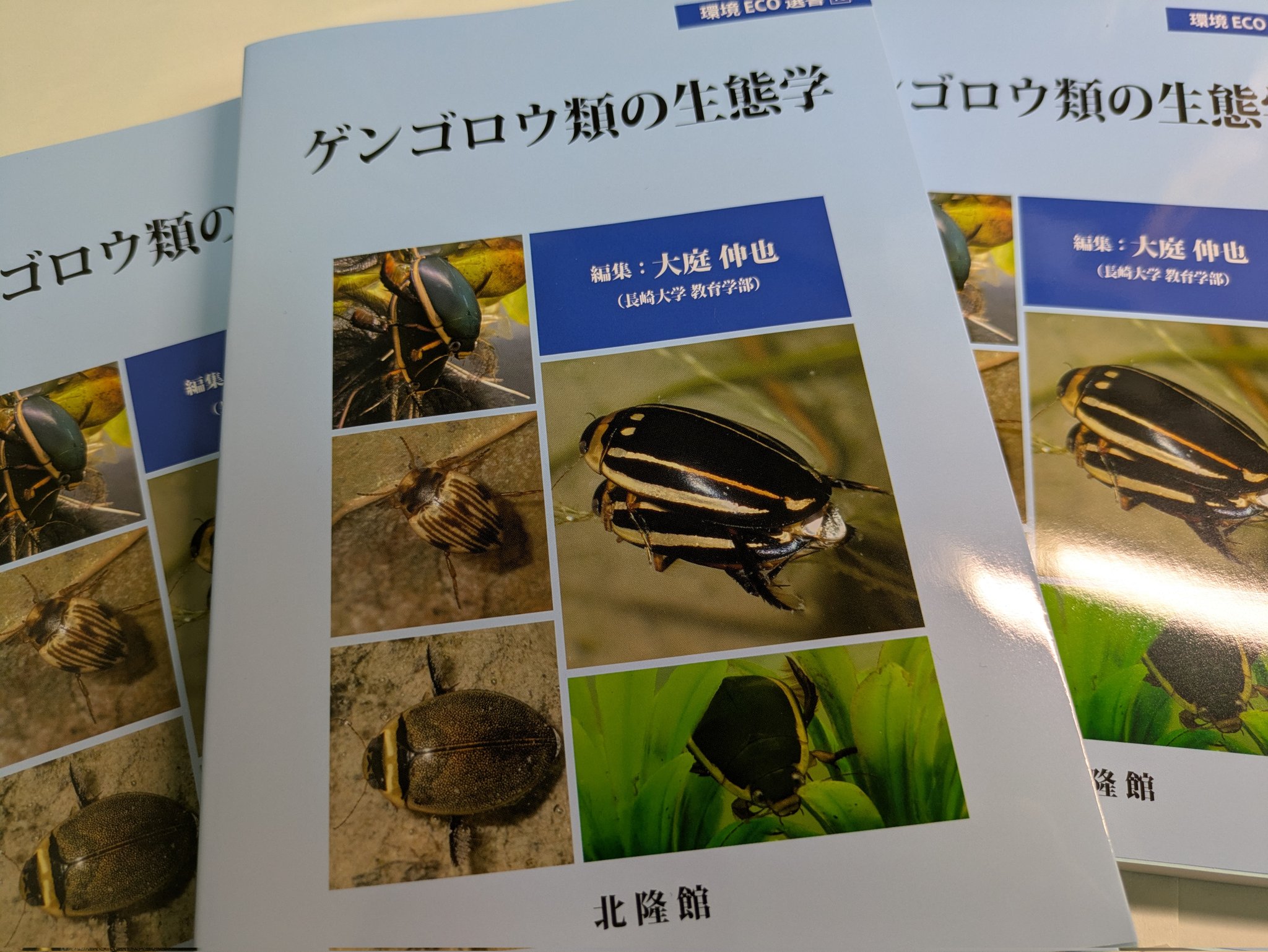 研究者向き ゲンゴロウセット ゲンゴロウ以外も含む 研究者向き