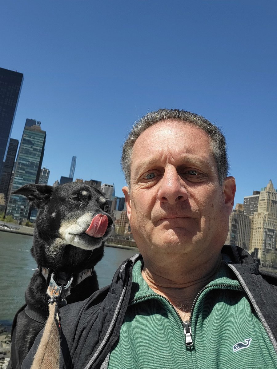 Hudson is a Dog tweet media