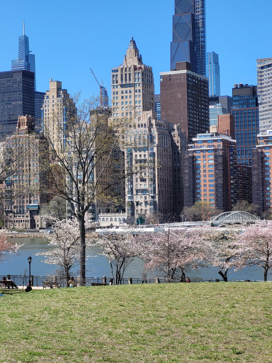 Hudson is a Dog tweet media