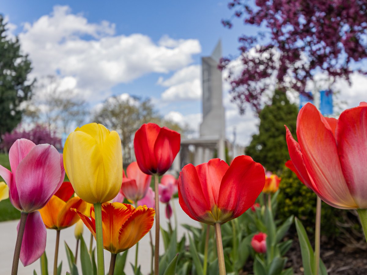 Rockhurst University tweet media