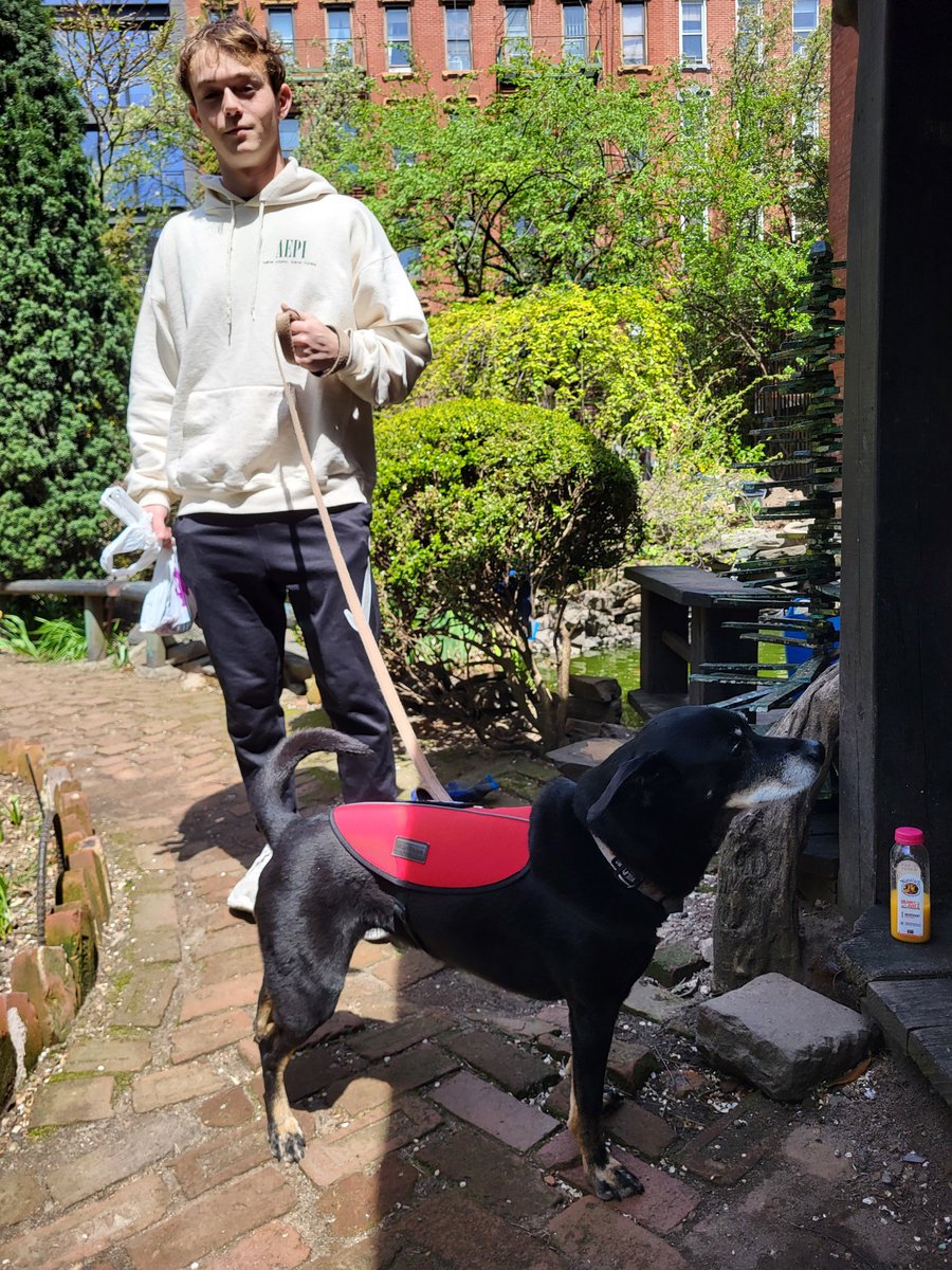 Hudson is a Dog tweet media