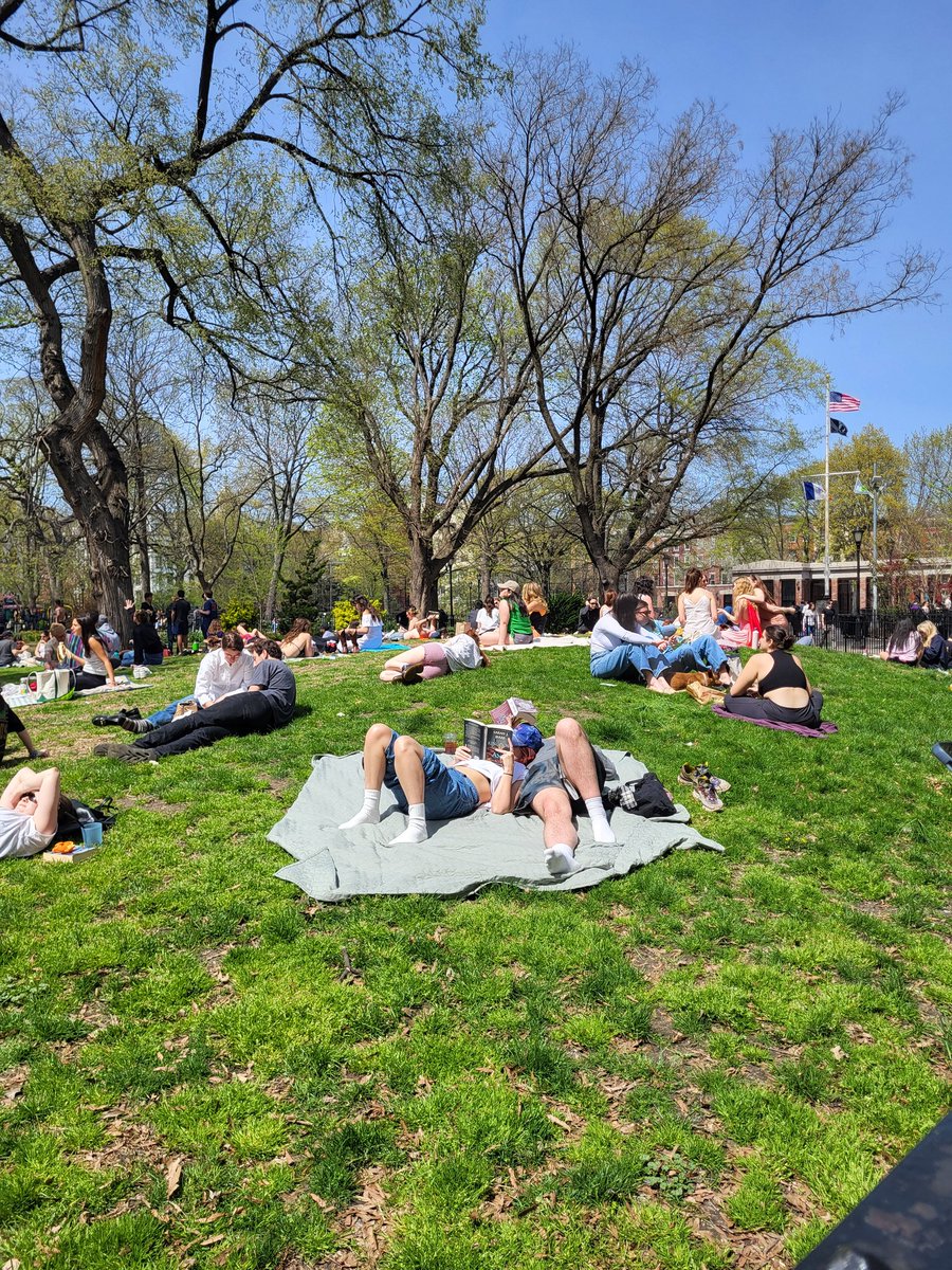 Hudson is a Dog tweet media