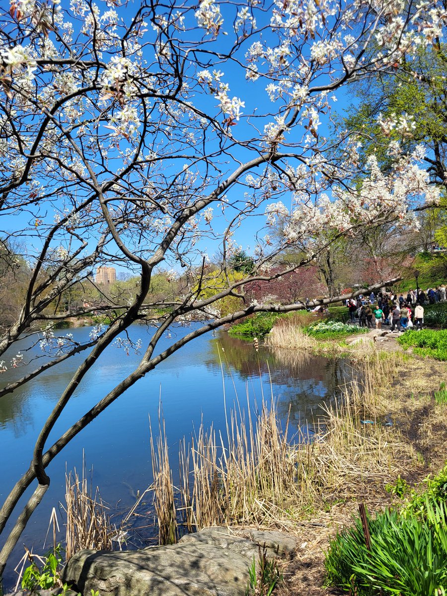 Hudson is a Dog tweet media