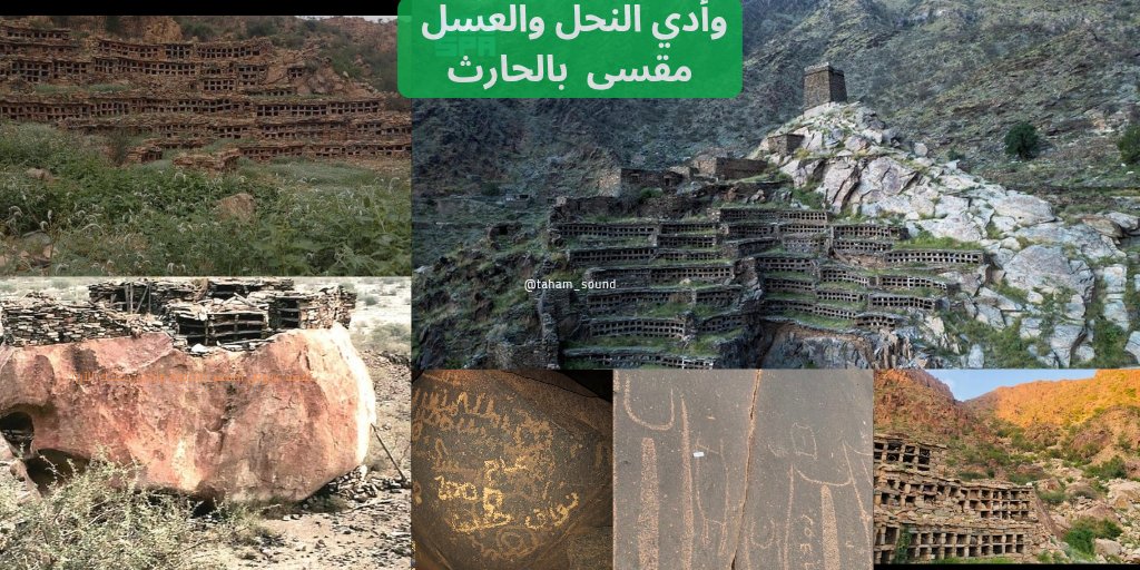 The #historicbeehives in #WadiMaqsa, south of #taif, are among the most prominent #heritage landmarks in the Kingdom of Saudi Arabia, reflecting the ingenuity of ancient man in adapting to the mountainous environment and raising #bees in unique engineering way.
#AncientBeeKeeping