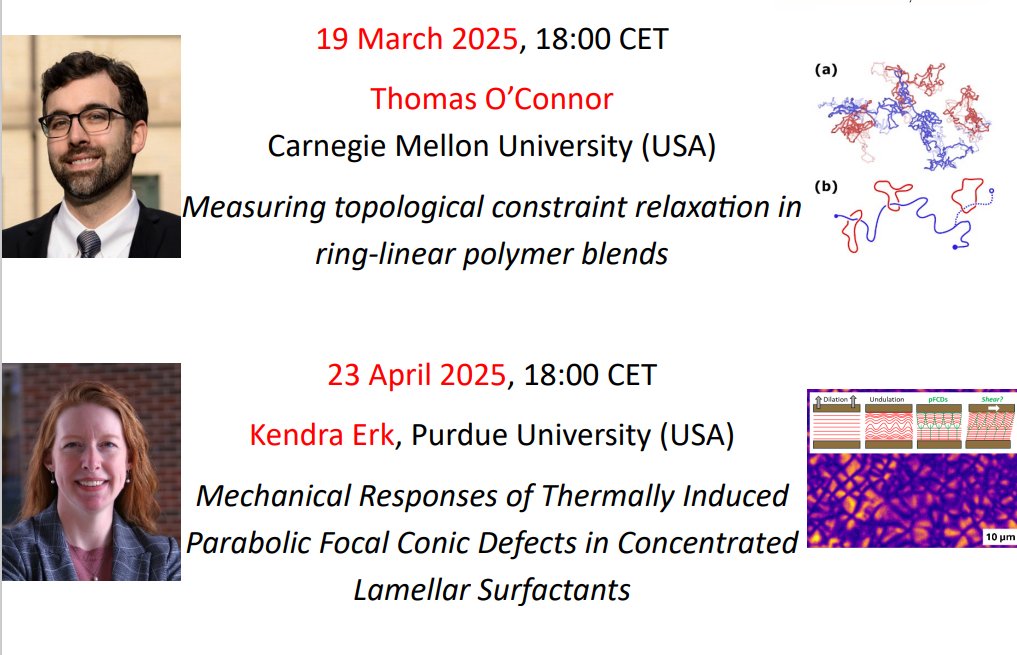 SoRheology's tweet photo. Join us on Zoom Wednesday, April 23rd, at 18:00 CET for the next JoR-JNNFM-RA seminar.  The speaker is Kendra Erk @KendraErk  (Purdue) who will speak to us about "Property-Processing Relationships of Concentrated #Lamellar-Structured #Surfactant Solutions” https://t.co/1rreQpGeIz