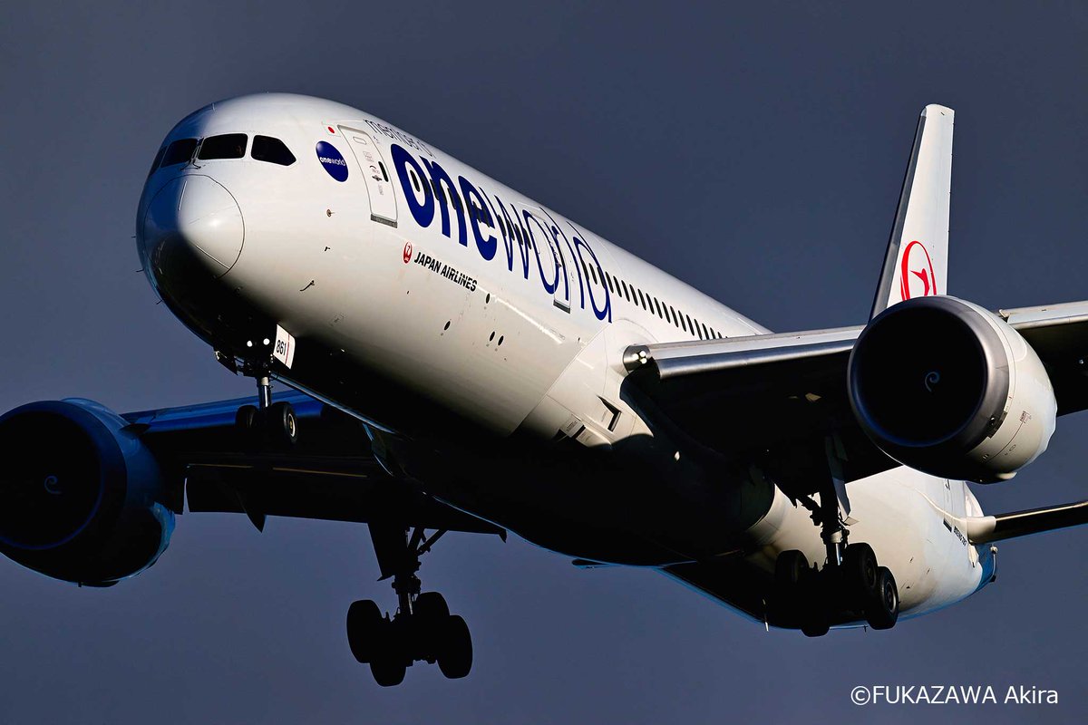 どうも、JALの中の人です|・ω・)ﾉおはじゃる 今朝は #ボーイング787 の