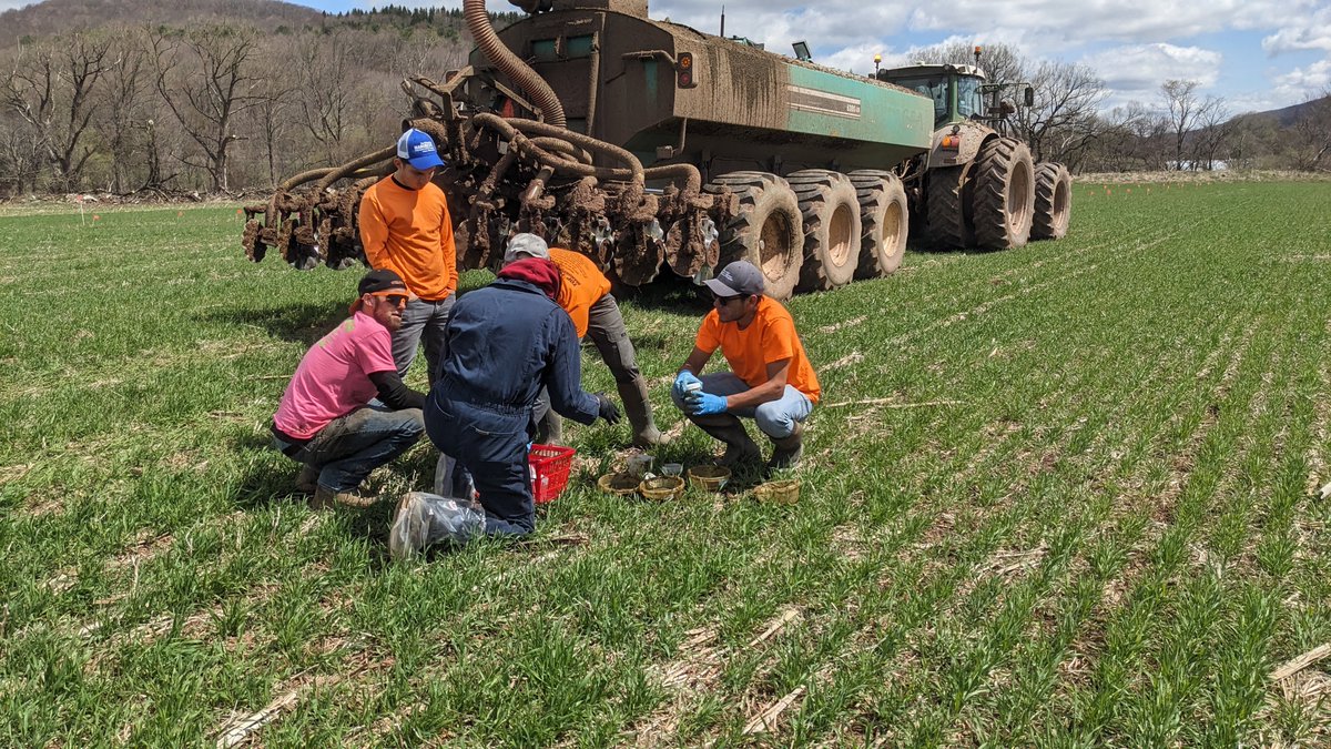 Today setting up a #PowerOfManure trial in the New York City drinking water supply watershed in a great collaboration with <a href="/DelawareCo_CCE/">DelawareCo_CCE</a>