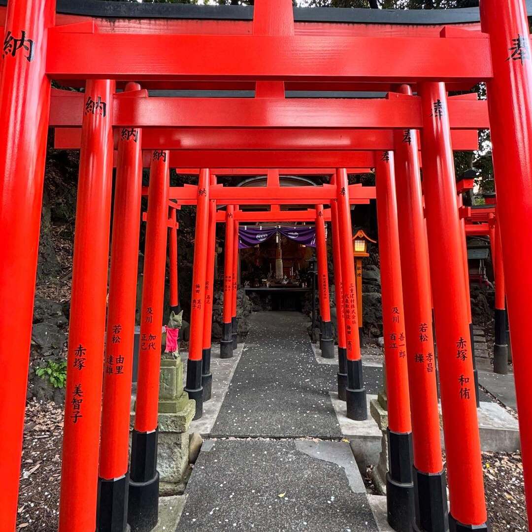 k_toyo's tweet photo. Trii
April 2025
#shrine #trii #spring #walking #神社 #鳥居 #春 #散歩 https://t.co/w6FfmYZIlb https://t.co/qFyOvEUqOG