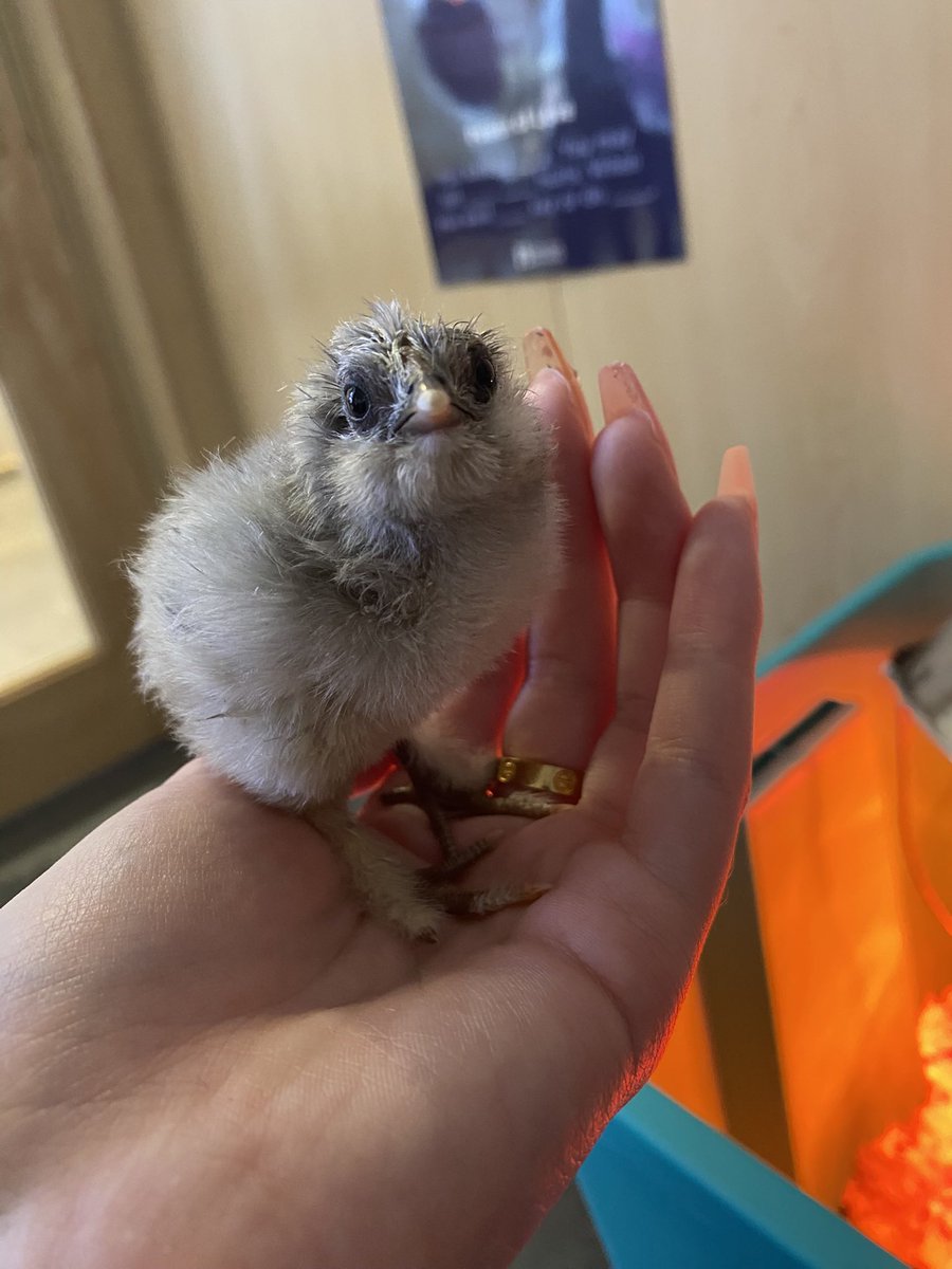 ari ( •̀ᴗ•́ ❀ ) tweet media