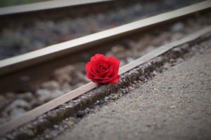 Tomasz🇵🇱🇬🇧 (@tomekie64) on Twitter photo 