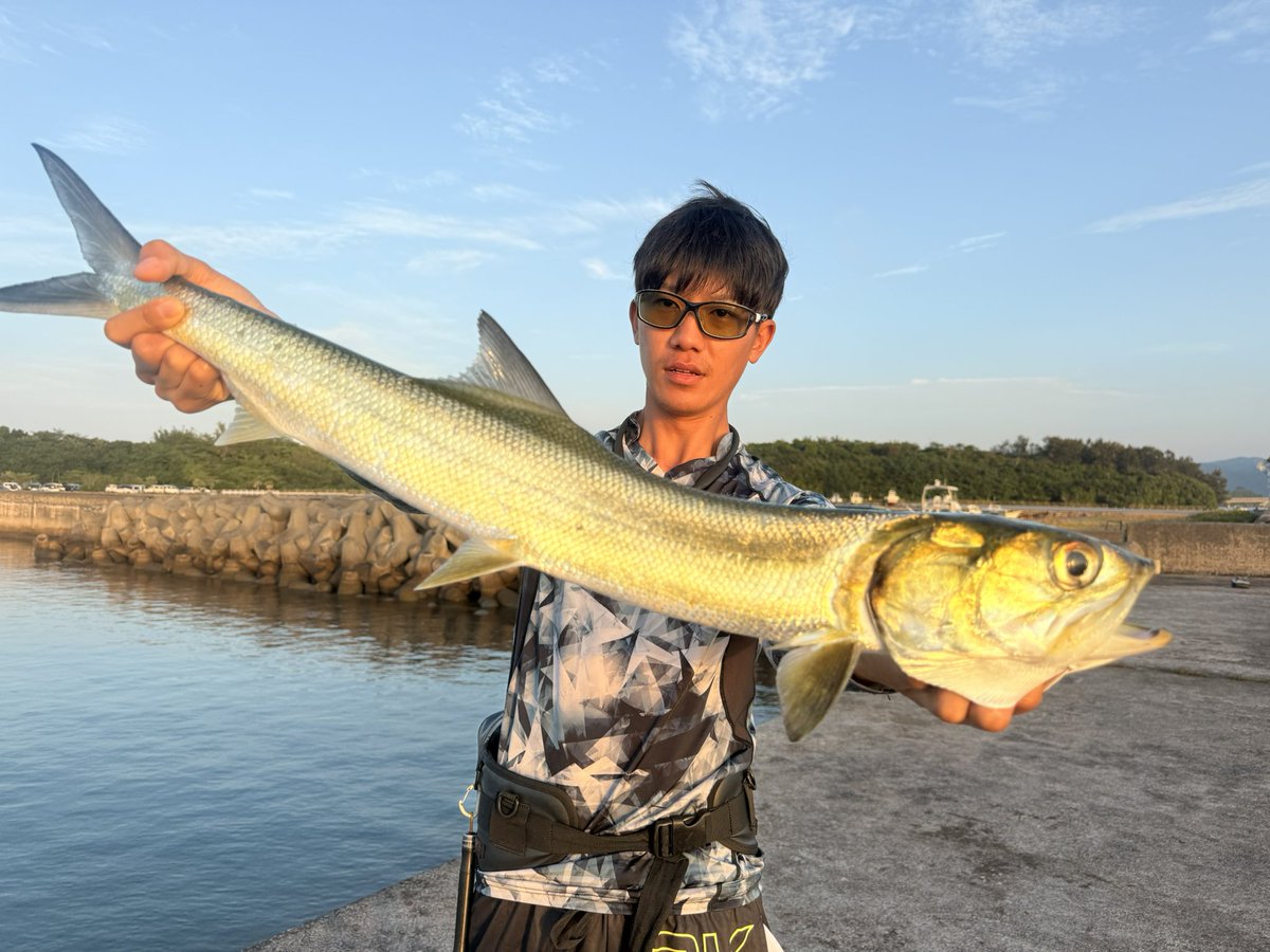 murachio's tweet image. カライワシ！