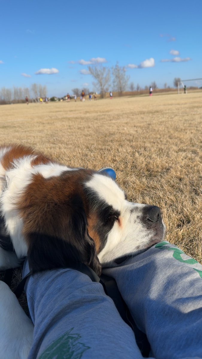 Mr. Pederson tweet media