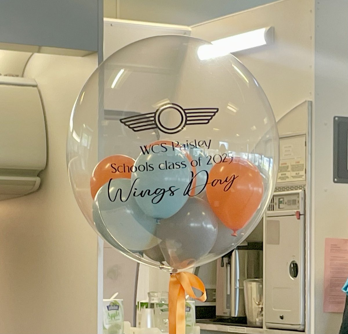 Angela Pignatelli tweet media