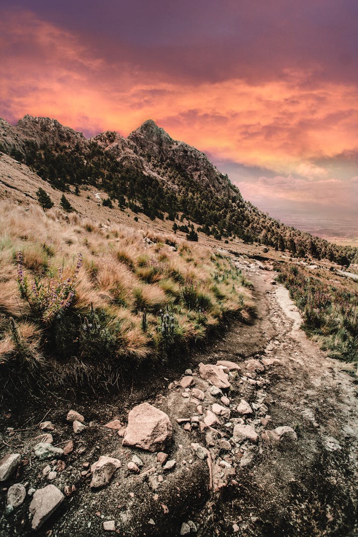 Magical Places | Travels, Trips, Journeys tweet media