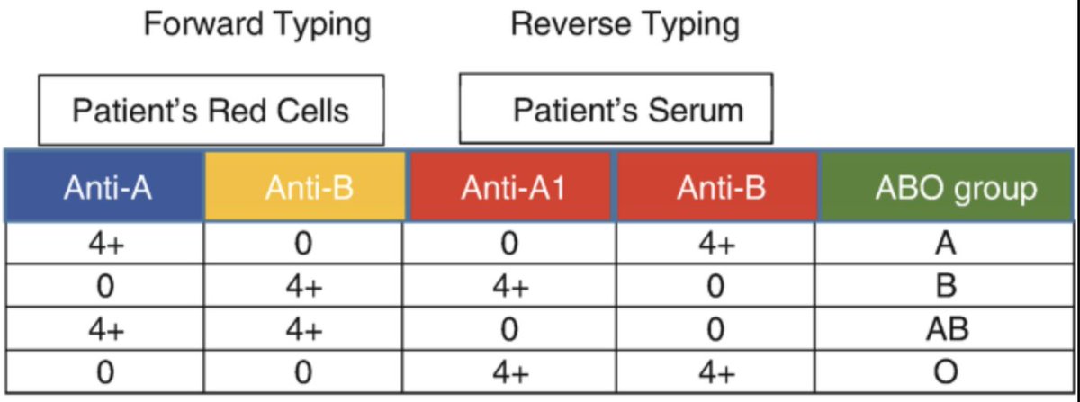 TheLabDoc's tweet photo. ABO typing
Checking pt's RBC antigens & plasma Abs, via agglutination
‣Forward typing: use pt RBCs
‣Reverse typing: use pt plasma
Concordance has to be demonstrated & a discrepancy must be investigated before the ABO type can be interpreted #KnowToPass #PathBoards #PathTwitter https://t.co/3VyhcBR0b2