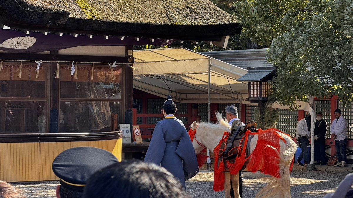 Solid_Design_L's tweet photo. We were all able to see  white horse Shinto ritual on January 7th.   It is said that if you see a white horse at the beginning of the year, evil spirits will be exorcised.
#leica #leicasl2 #varioelmarit #architecture
#architecturephotography #architecturelovers
#photograph #japan https://t.co/FzPHhb6u5p