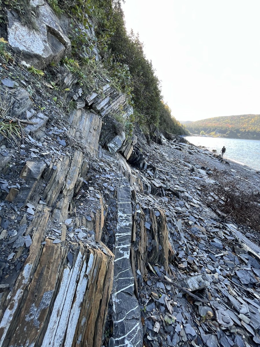 AmandaCMcCallum's tweet photo. Happy #EarthDay 🌍🌎🌏

Today we celebrate Earth’s abundant natural resources, diverse environments and the beautiful and fragile life it supports. 

We need to continue to invest in our planet, building healthy communities and economies.

#ExploreNL #DiscoverNL https://t.co/VHNq5dx1Ed