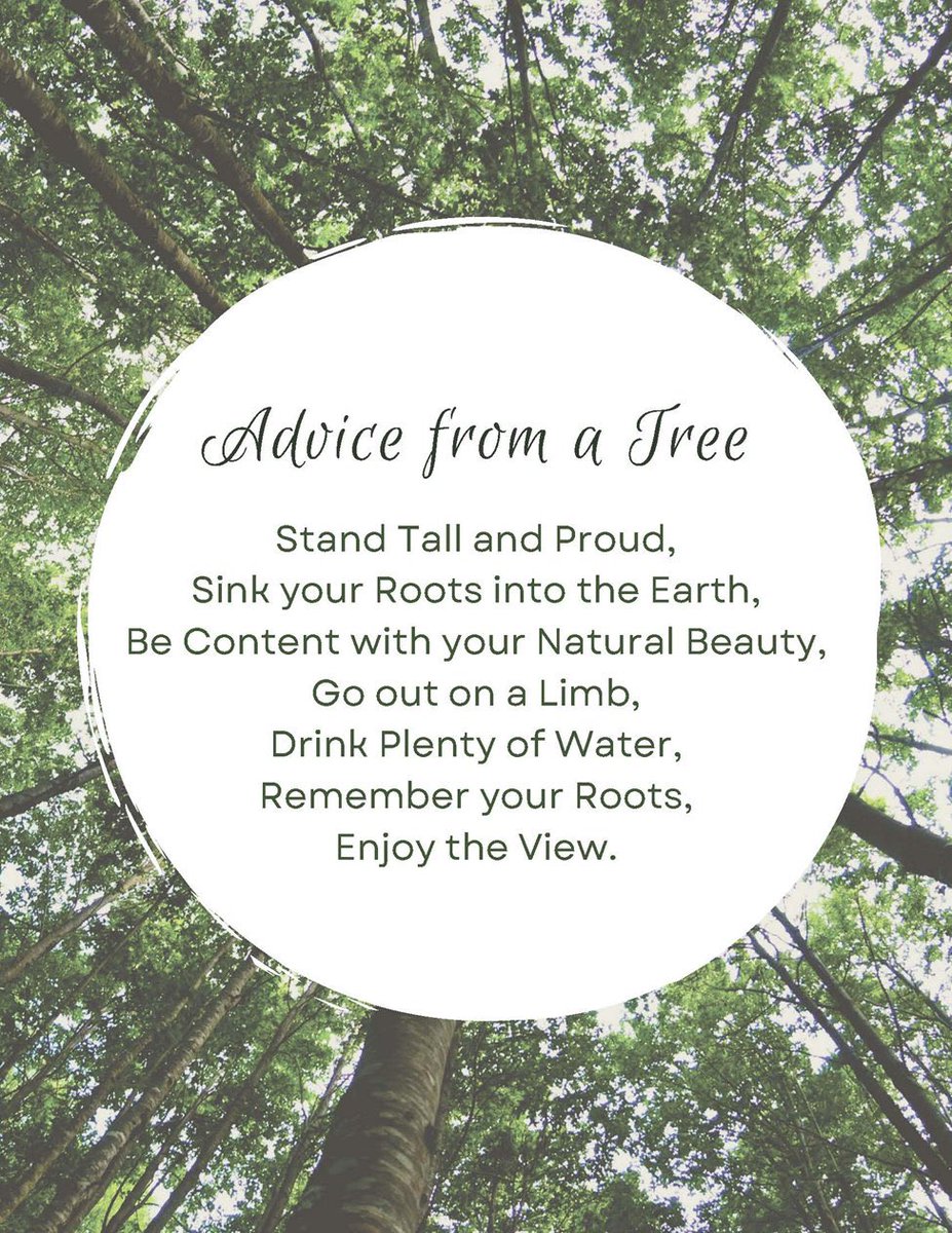 Today is Earth Day! In recognition we planted a tree on our campus. But not just any tree… we planted a Heritage Tree — a statewide initiative to plant a White Oak in all 88 counties to recognize our country’s 250th birthday.