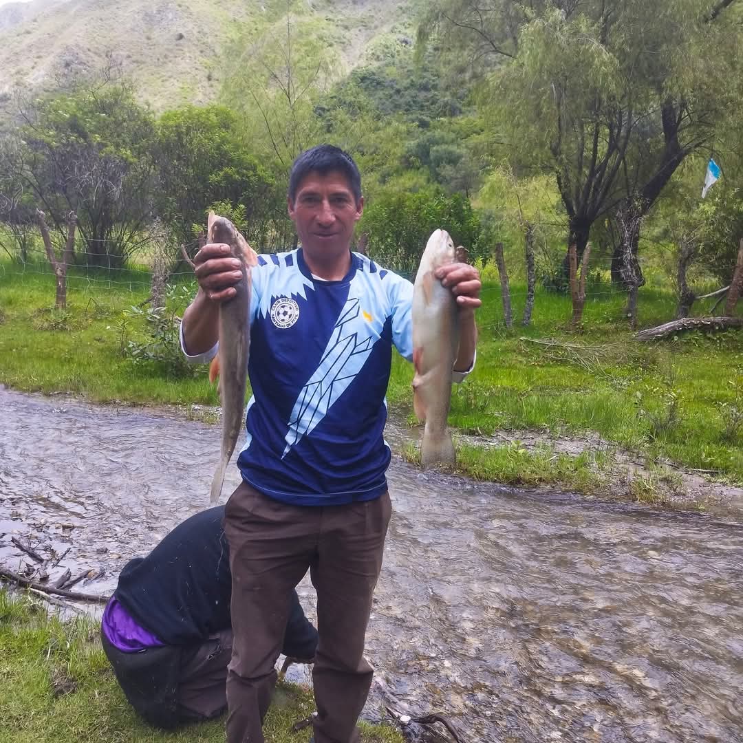 RadioLimatambo's tweet photo. 📻🤗🐟 La rica trucha en la  C.C. PIVIL - Huancarire  - Limatambo 

#Limatambo https://t.co/LuDZmzPqMR