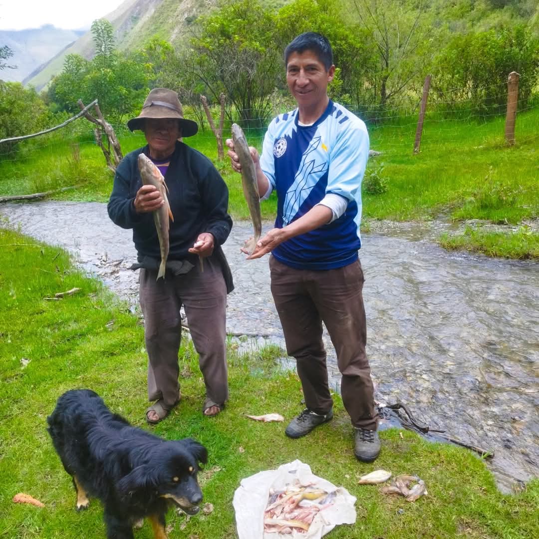 RadioLimatambo's tweet photo. 📻🤗🐟 La rica trucha en la  C.C. PIVIL - Huancarire  - Limatambo 

#Limatambo https://t.co/LuDZmzPqMR
