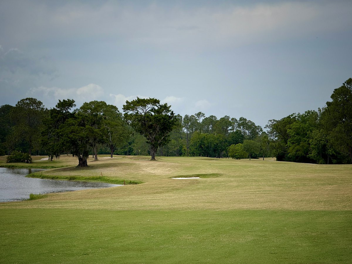 TimGavrich's tweet photo. ST. JOHNS GOLF CLUB
Elkton, Fla.
Robert Walker, 1989
Erik Larsen, 2022
$70
Course #674
Clever and even-handed MacRaynor pastiche at this muni redo—equally striking and simple bunkering, fun green shapes and contours and a superb set of par 5s. Firm & fast. The #Munaissance! https://t.co/atC5GUWA3U