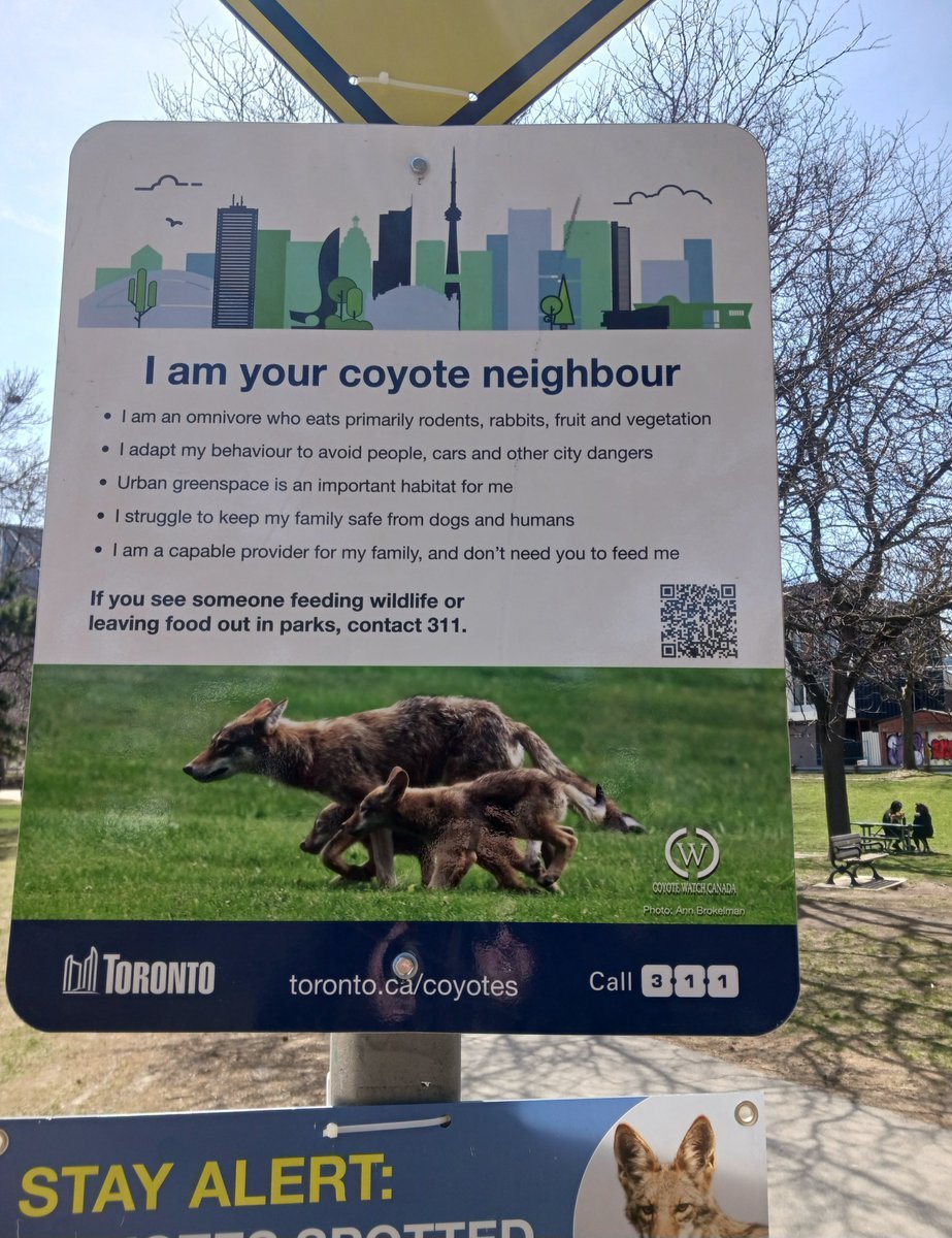 AprilEngelberg's tweet photo. Toronto's new "Coyote Hotspot" signage: 

"I am your coyote neighbour".

This is absurd.

Coyotes killed 5 local dogs + injured several people. 

We don't want to meet our coyote neighbour. We want the city and province to remove the coyotes from the neighbourhood. https://t.co/N8X7xTLFqm