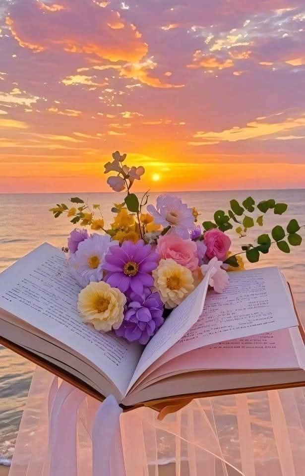 mehmet_alim_25's tweet image. "
Selamün Aleyküm 

       Her #Geceyi Sabaha #Kavuşturan 

          #Rabbim Sana #Şükürler Olsun..

                     #Huzurlu_Vakitler ❤

#HayırlıSabahlar 
#Sabah_Namazı