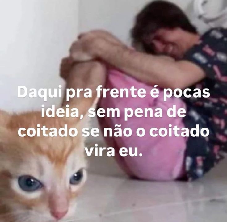 animaisfrases_'s tweet image. 