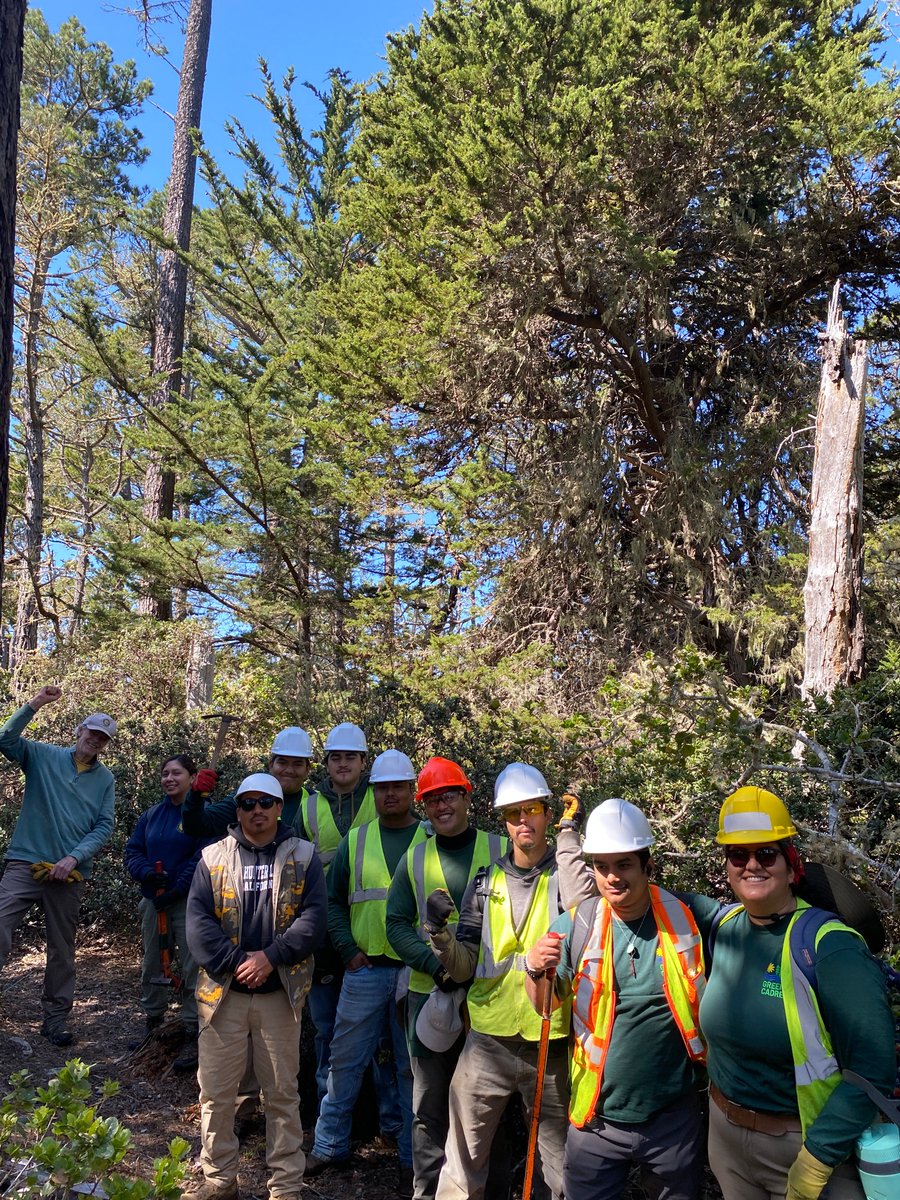 Our State Parks thrive because of the amazing efforts of volunteers! During #NationalVolunteerWeek, we celebrate your hard work in protecting our natural &amp; cultural heritage. Every hour you dedicate from habitat restoration to visitor support has a lasting impact.💪🌲 #NVW2025