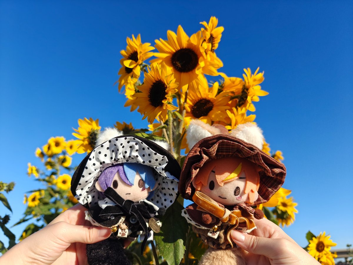 angelsanctus's tweet photo. The children shine, bright as the sun. 

#HMCSMerch #SEGAContest https://t.co/rNvlag0rKx