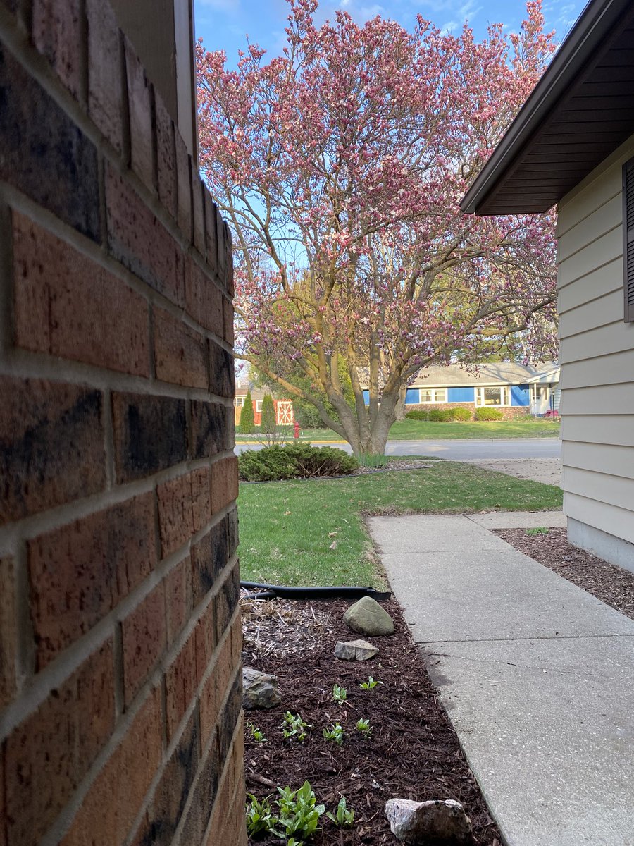 Finally a gorgeous day to get outside and enjoy the 70° weather along with a little flower garden clean up and mulching.