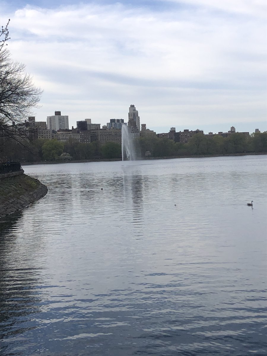 SahilLalani0's tweet image. central park i am in you