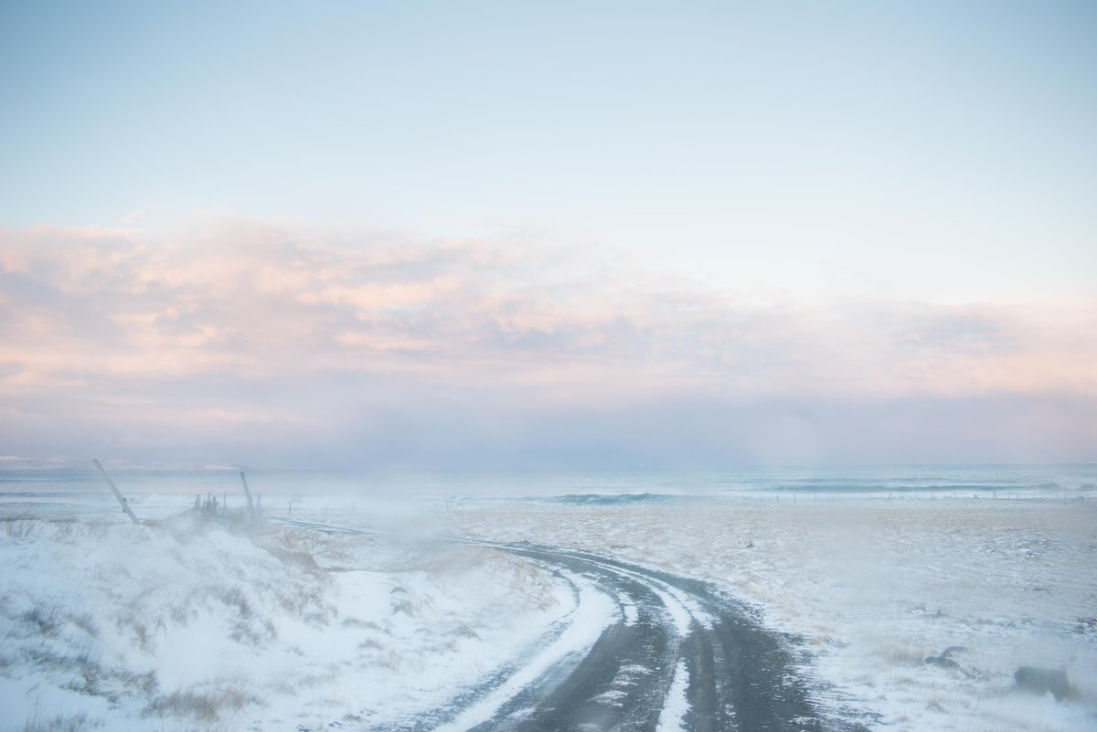 📌 Fellowship Past Projects: Roaming by <a href="/toddhido/">Todd Hido</a>, launched in 2022

At first glance, Roaming seems quiet—foggy roads, empty fields, overcast skies. No people in sight. But the more we looked, the more we began to sense something else moving through these images. Not action, but