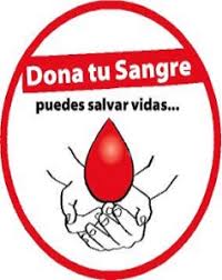 🩸 ¡Te esperamos el 24! ✨🩸 
Donar sangre🩸es un acto altruista de gran importancia:
1. Salvas vidas
2. Sangre segura para quienes la necesitan
3. Conciencia comunitaria
¡Juntos podemos hacer la diferencia! ❤️ #DonaSangre 
#Etecsa_SantiagoEste 
<a href="/JorgeAndrsQues1/">Jorge Andrés Quesada Estupiñán</a> 
<a href="/MiguelH14122697/">🇨🇺Miguelito🇨🇺</a>
