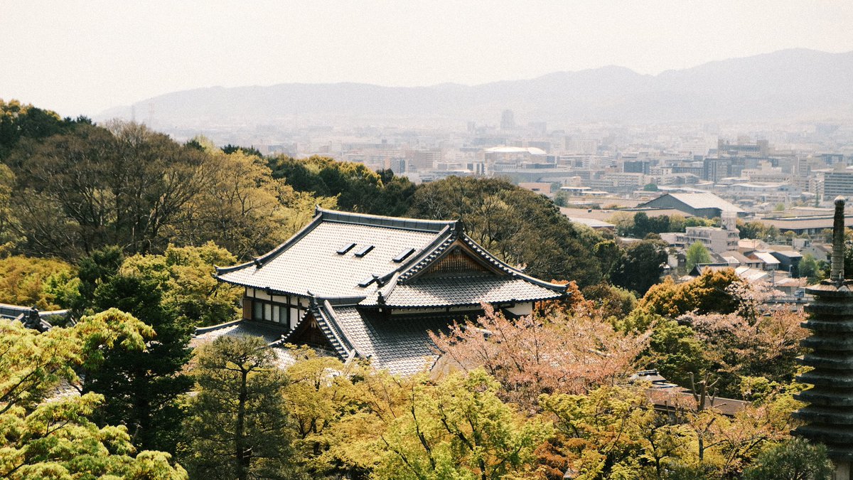 Some Japan 📸