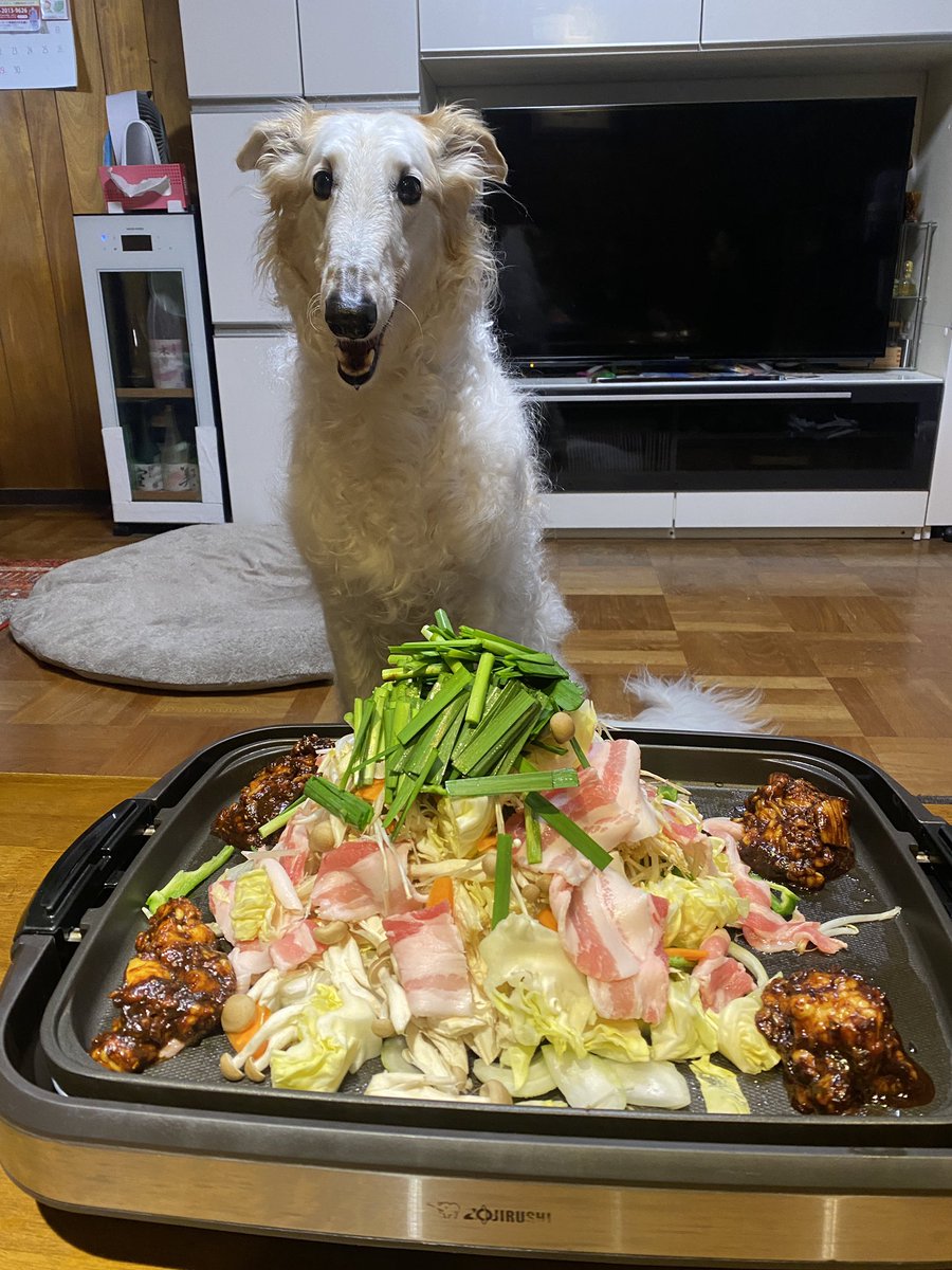 そんなに食べるの？がんぼるぞい！！

translation:
Do you eat that much?