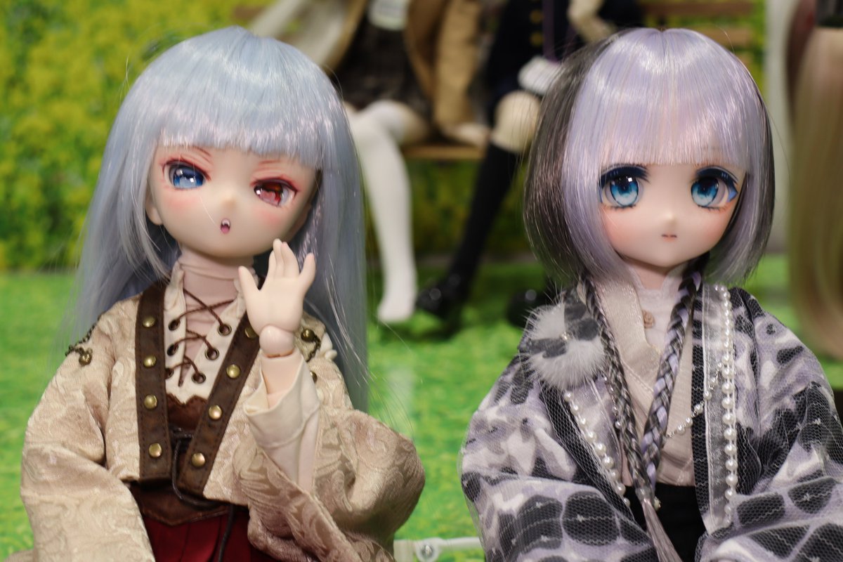 アイドール楽しかったなぁ～
お金貯めてまたいかないとっ
#うちのこかわいい
 #よそのこかわいい