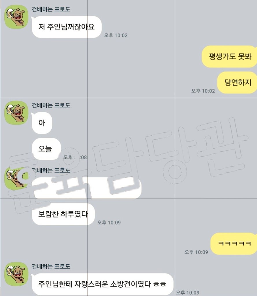 소방견의 자랑스러운 하루!