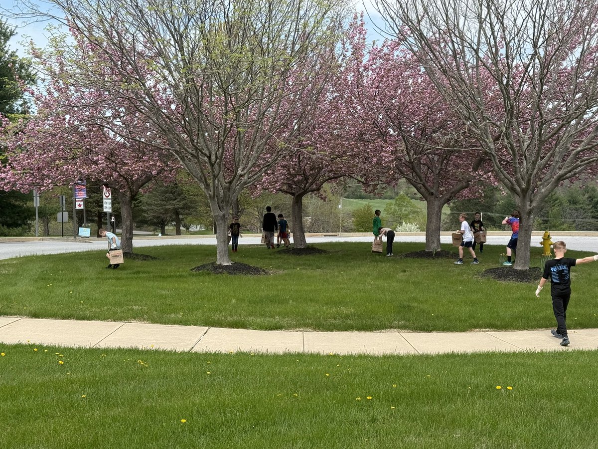 Mrs. Schinski's 2nd Grade Class tweet media