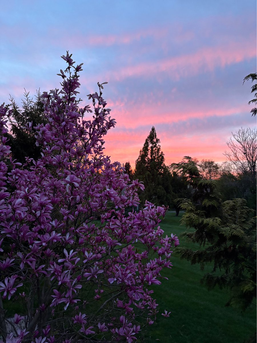 First spring in NJ and missing the annual Boston spring pic I take with the girls. Not bad so far NJ….not bad