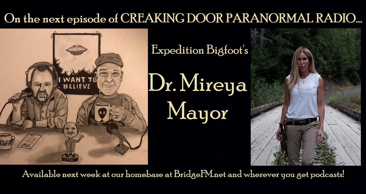 MiParacon (@miparacon) on Twitter photo 