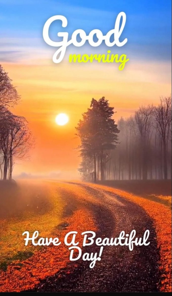 Good morning friend 
Have a good day today