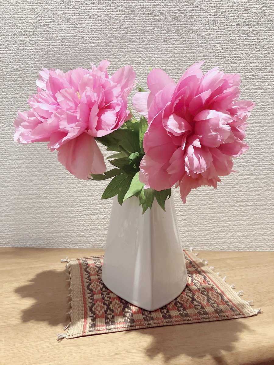charidas1's tweet photo. ボタンはん「立てば芍薬、座れば牡丹、歩く姿は百合の花って⁉️」@我が家の玄関(^^)
2025/4/23 8:19
#植物
#牡丹
#iphonse https://t.co/8VNRSAvgpw