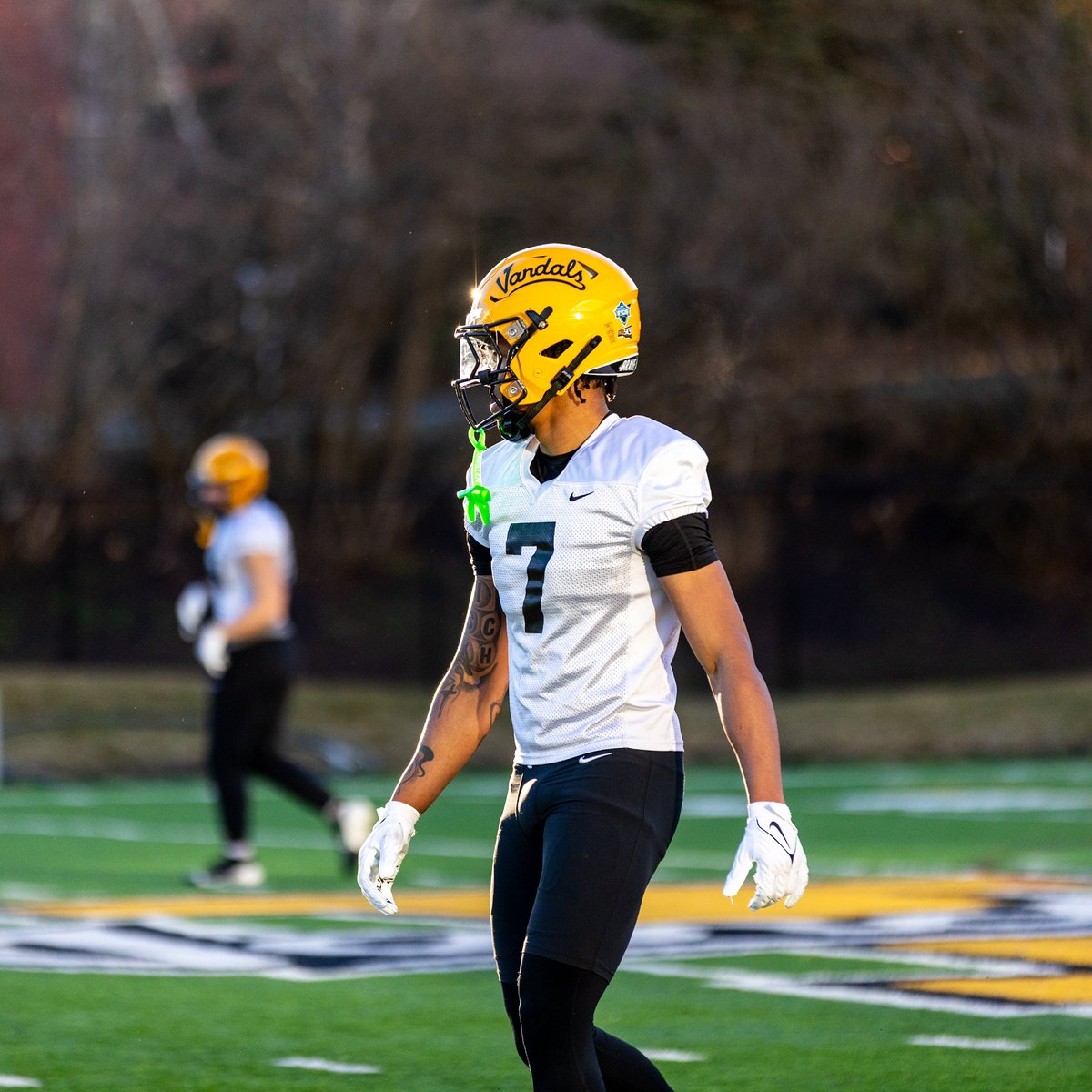 Aaron Kinsey tweet media