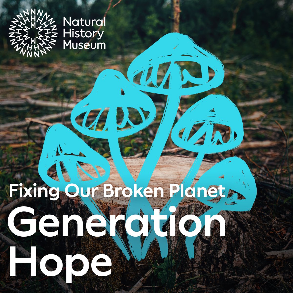 AnneDJungblut's tweet image. Generation Hope is a free programme in May with talks, workshops, story telling and more @NHM_London in collaboration with youth climate and nature advocates from across the world, aimed at empowering people to become advocates for the planet: nhm.ac.uk/events/generat…