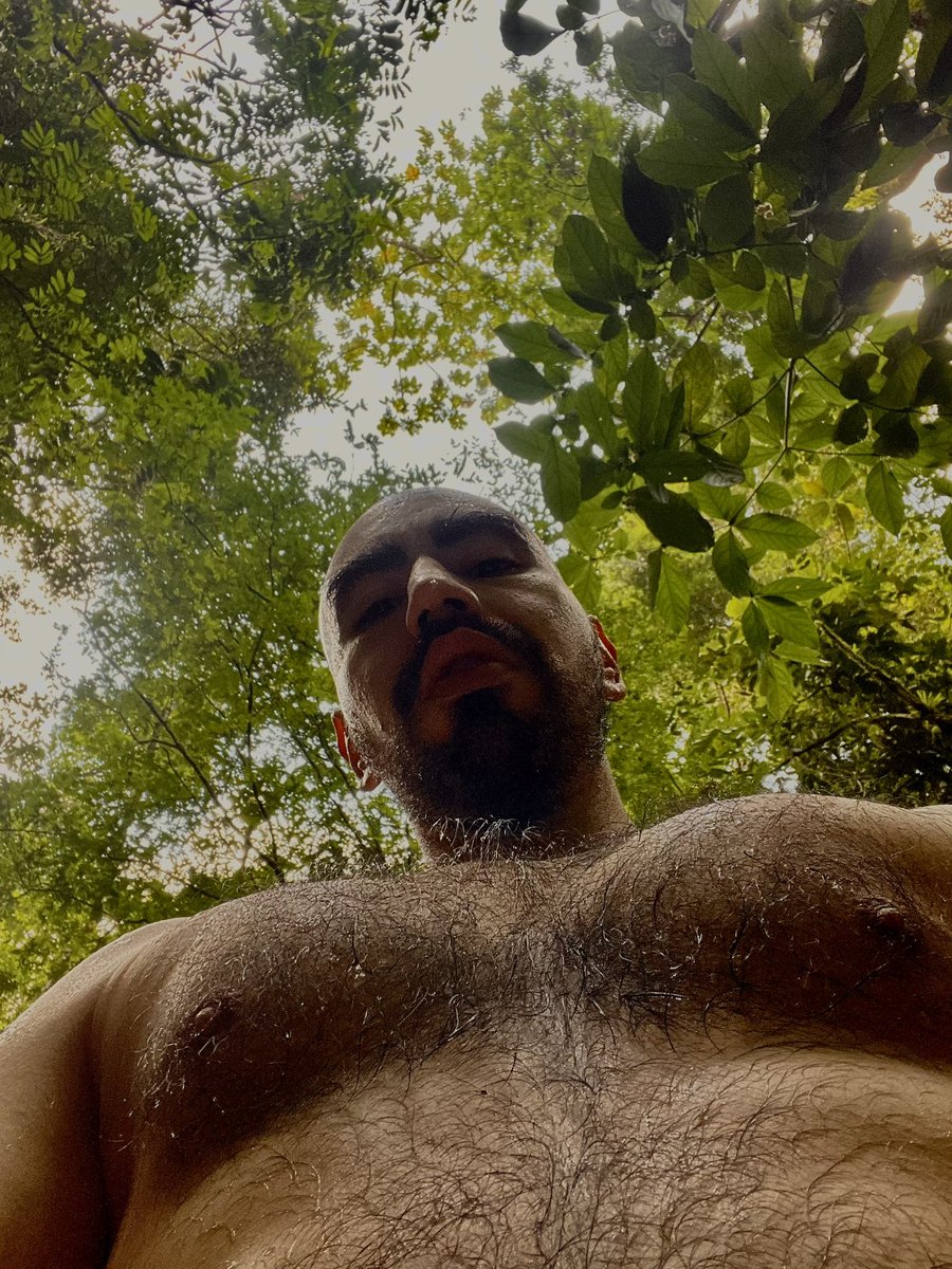 Álvaro M. Villalobos tweet media